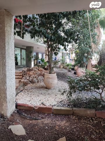 דירה, כפר סבא