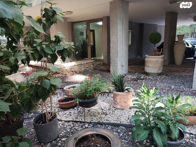 דירה, כפר סבא