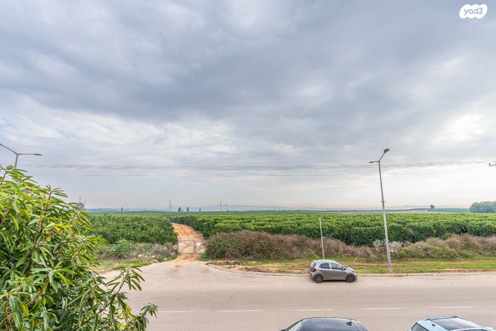 דירה, הצאלון, בית אליעזר, חדרה