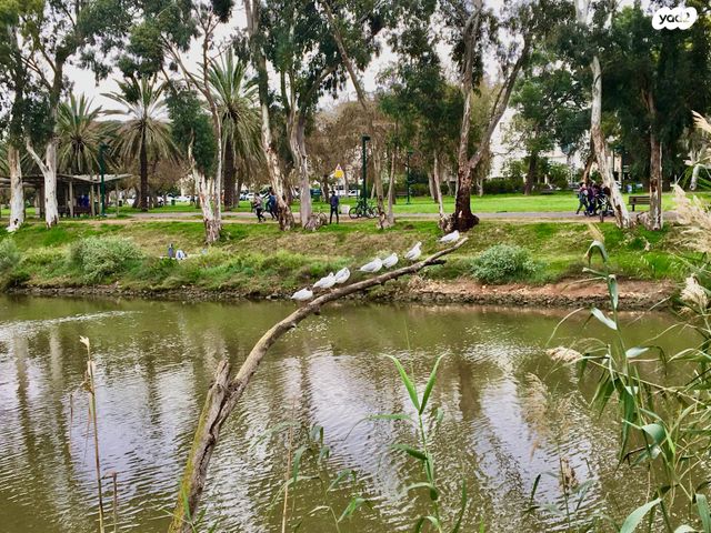 הצפון החדש - צפון