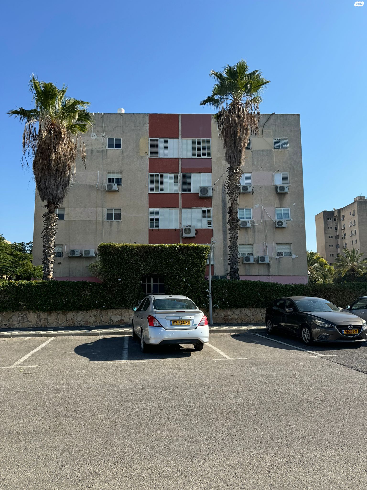 פנחס לבון 25