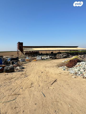 משק חקלאי/ נחלה, קלחים