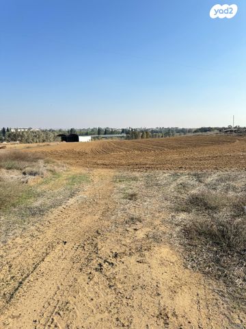 משק חקלאי/ נחלה, קלחים