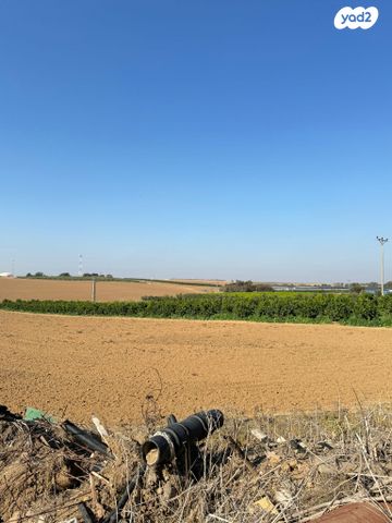 משק חקלאי/ נחלה, קלחים