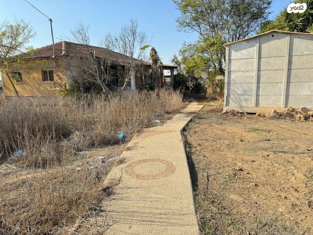 משק חקלאי/ נחלה, קלחים