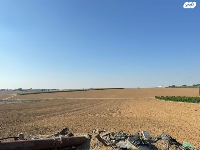 משק חקלאי/ נחלה, קלחים