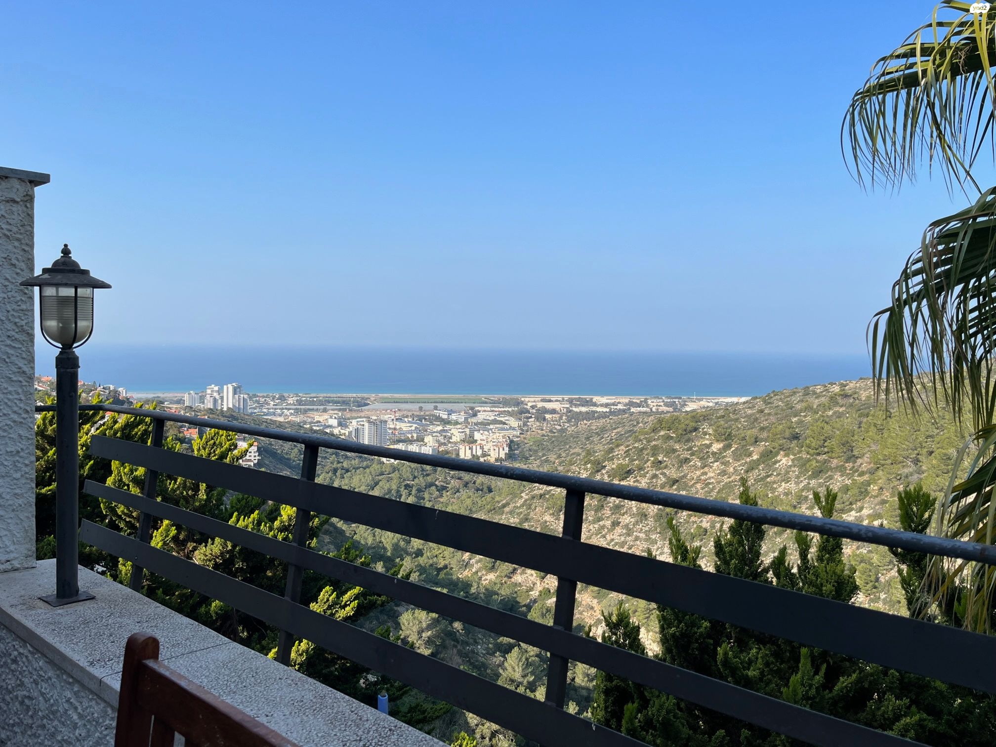 גרינבוים 44