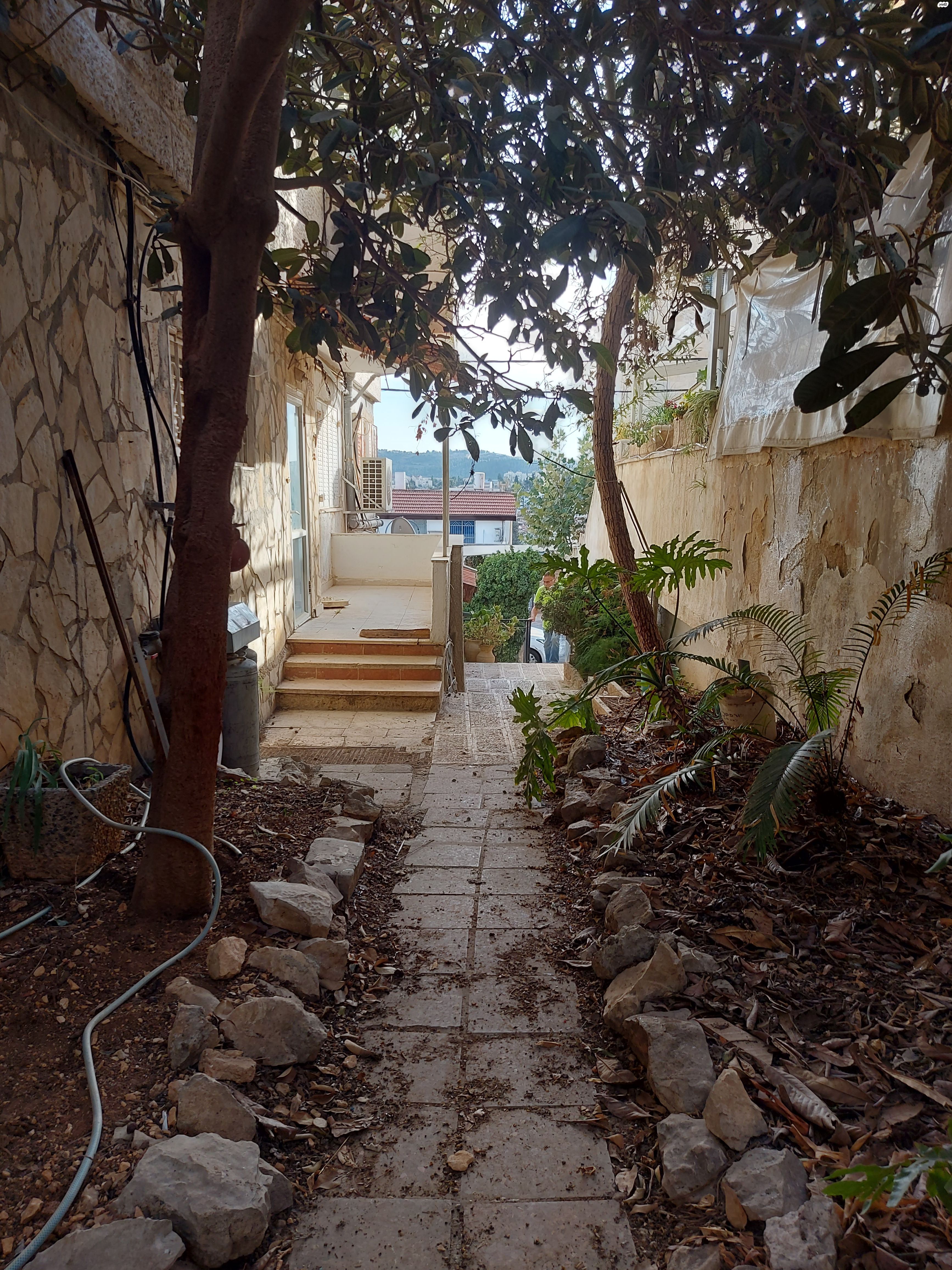 חיים סירני 15