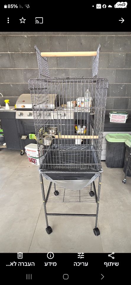 תמונת מודעה - חיות מחמד