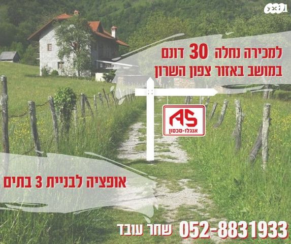 הראשונים 