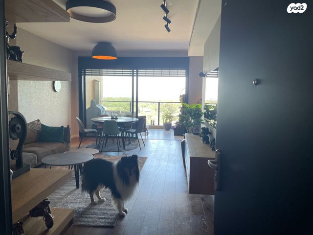 דירה, גדעון, הדר, רמת השרון