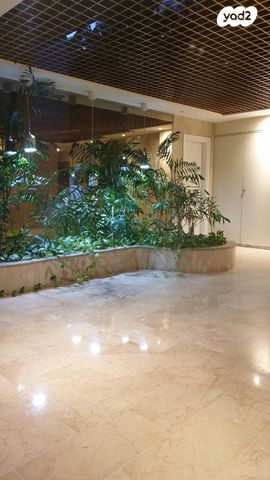 דירה, וייצמן, אברמוביץ', ראשון לציון