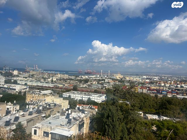יעקב קליבנוב 