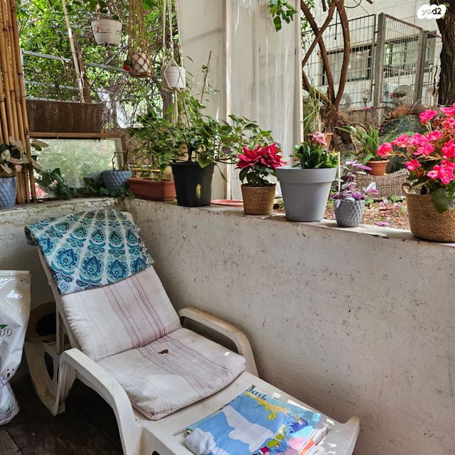 דירה, הצפון הישן - צפון, תל אביב יפו