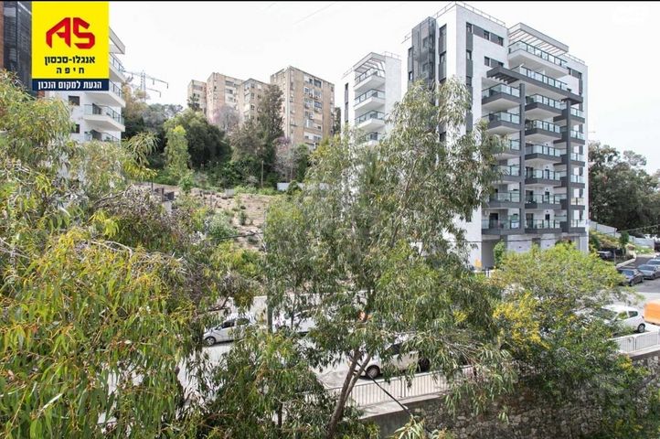 זלמן שניאור 