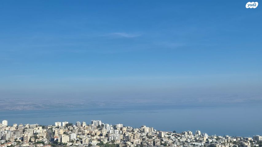 הנרקיס 