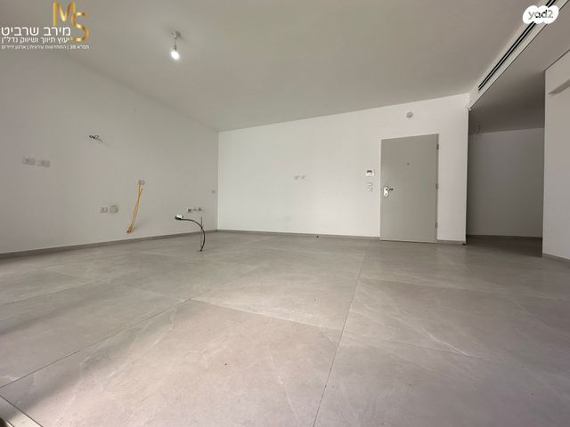 דירת גן, מרכז הכרמל, חיפה