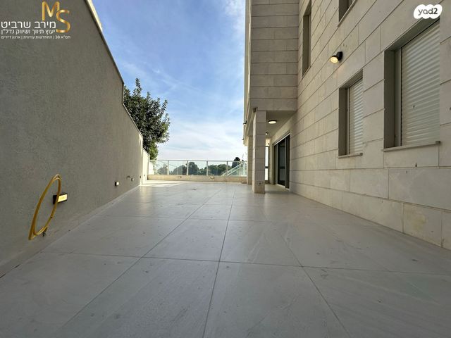 דירת גן, מרכז הכרמל, חיפה