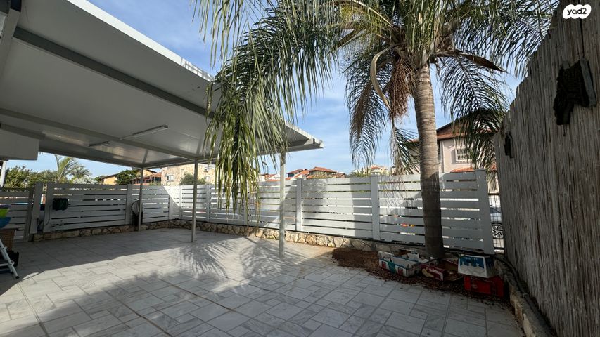נורדאו 31