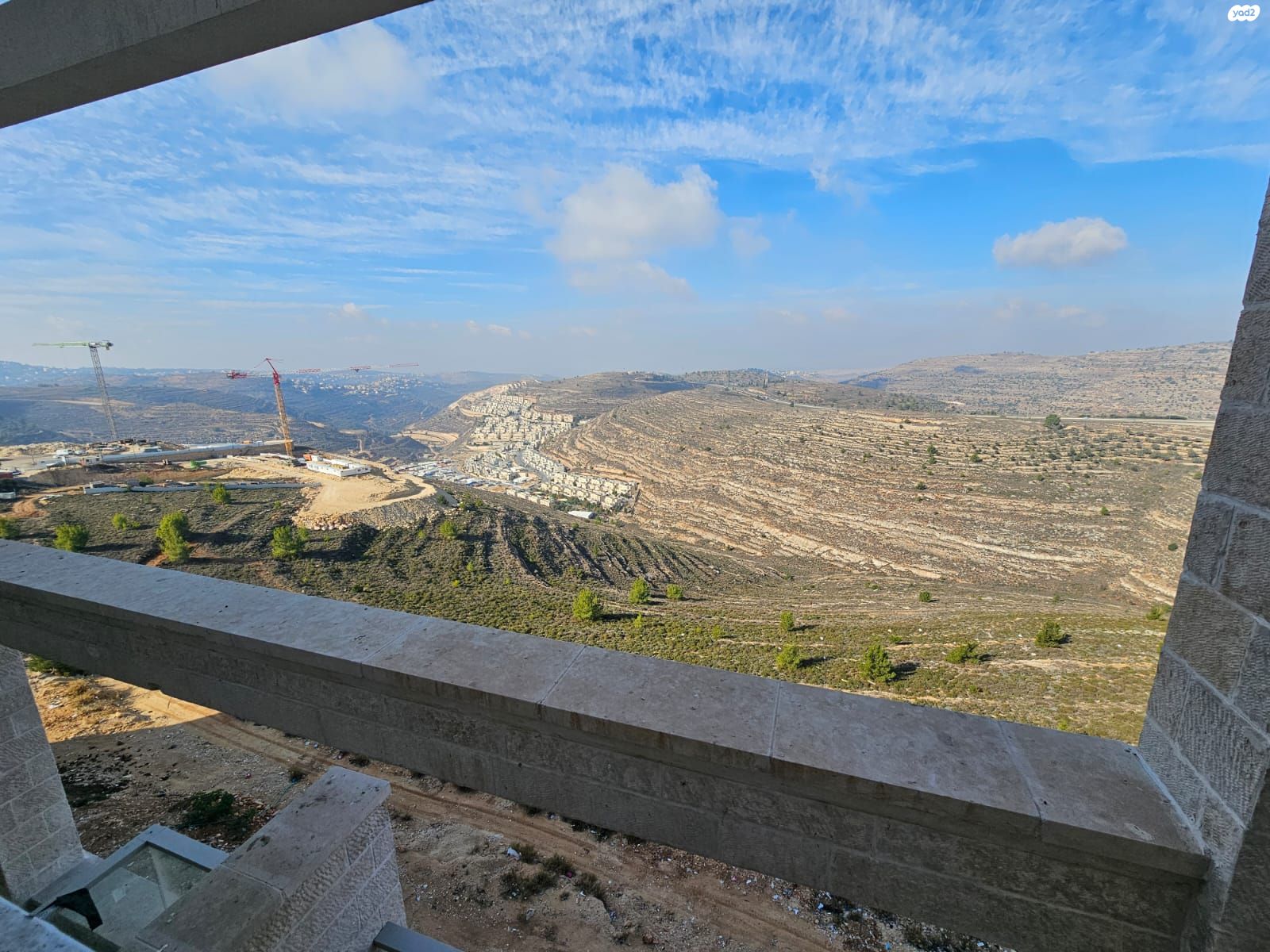 פרחי בר 