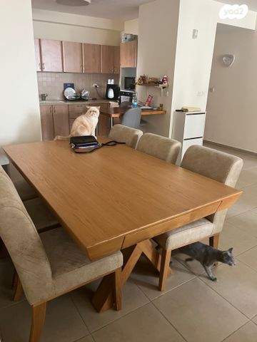 דירה, חיל האוויר, נווה חוף, ראשון לציון