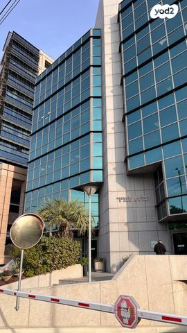 ראול ולנברג 