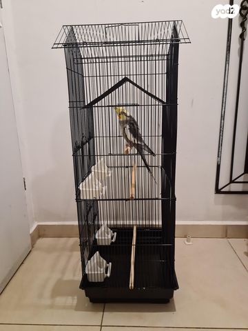 אביזרים | כלוב האכלת יד