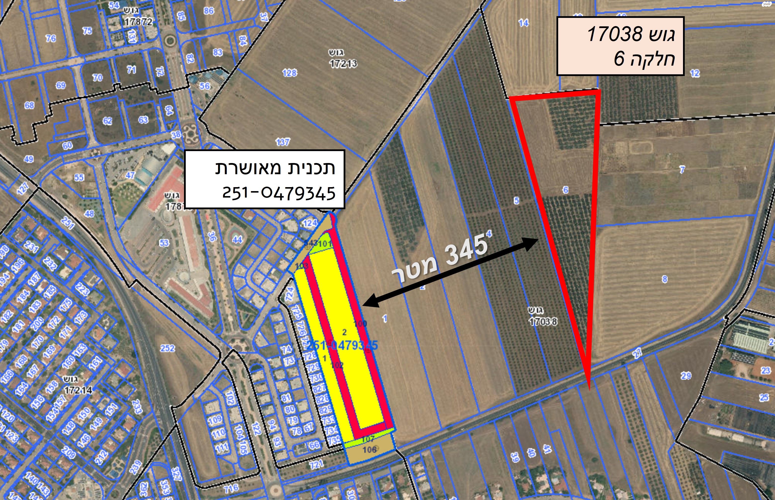 רימון 1