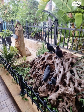 בית פרטי/ קוטג', מגדל העמק