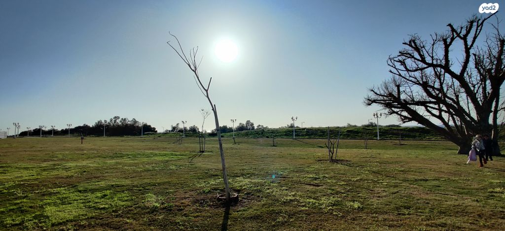 דירה, אלמוג, אכזיב, נהריה