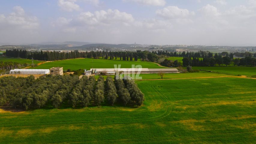ברקאי 20