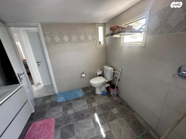 דירה, חורשה, חיפה