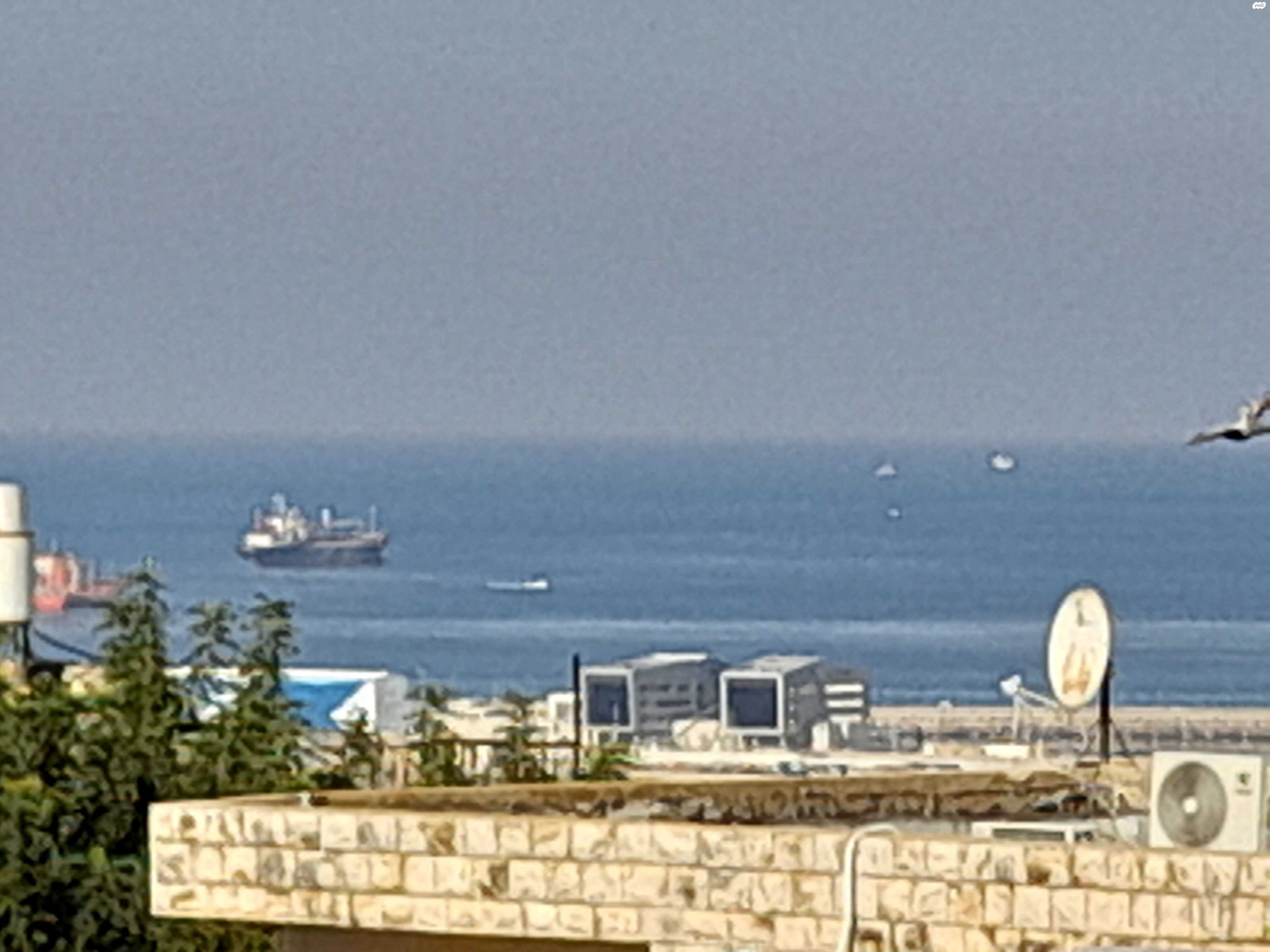 הנביאים 20