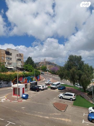 האורן 