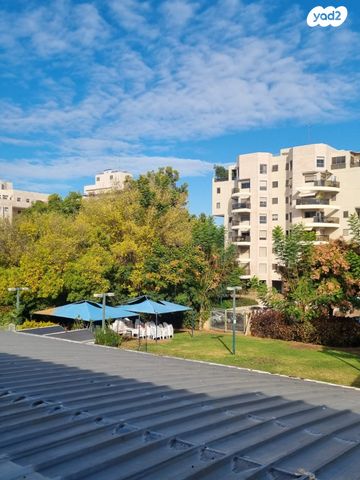 משרדים, השייטת 4, הדרי סמל, נס ציונה