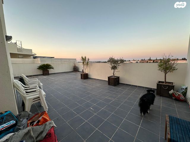 דופלקס, תל מונד