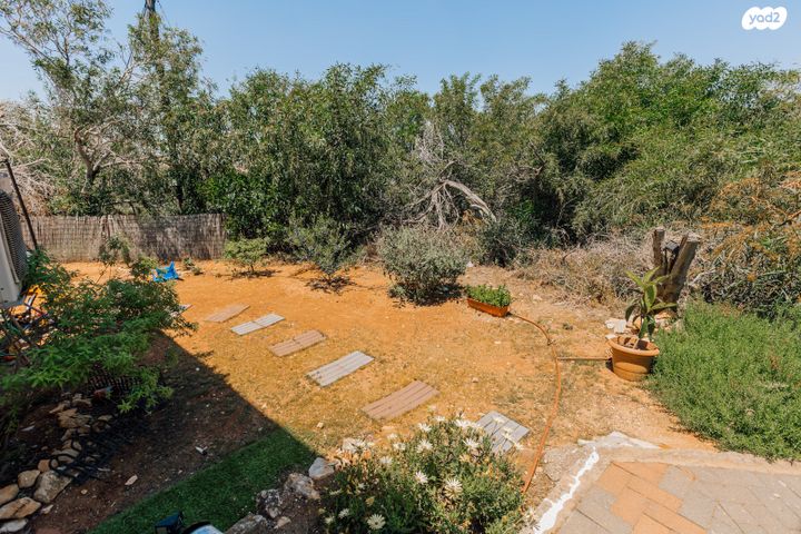 בית פרטי/ קוטג', החרוב 16, עלי, עלי