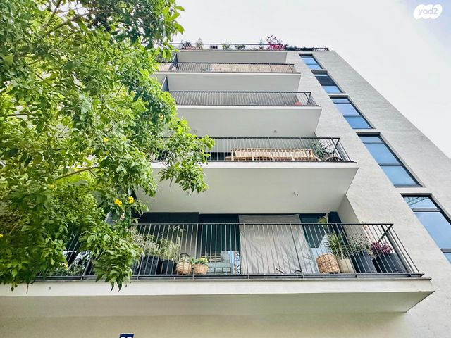 הצפון החדש - כיכר המדינה