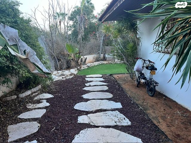 דו משפחתי, קיסריה