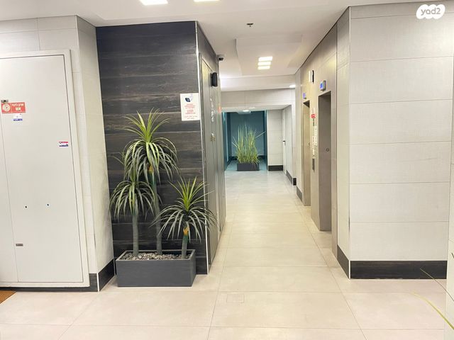 דירה, לוטם, הפרחים, חריש