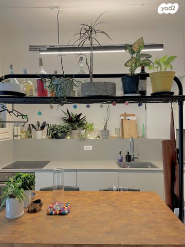 דירת גן, גוטליב, תל אביב יפו