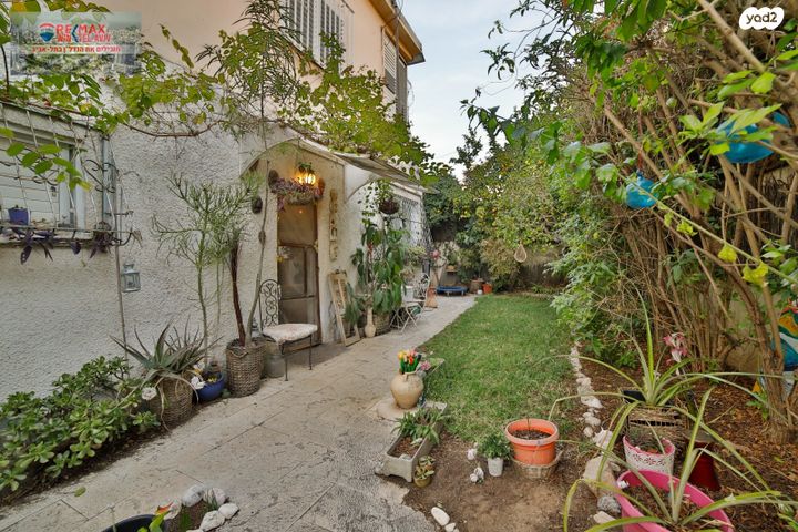 דם המכבים 31