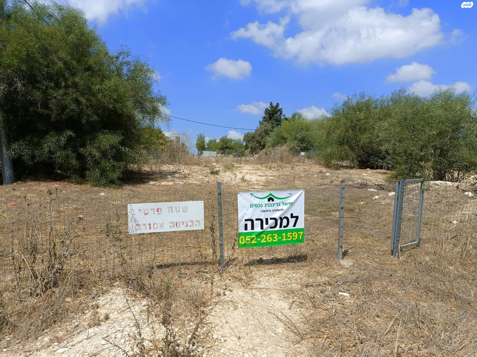 הרב שלמה קרליבך 1