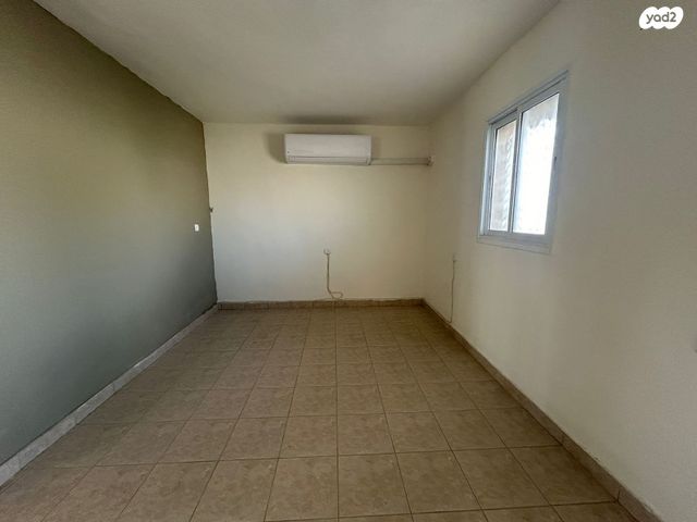 דירה, איריס, פרחי ארצנו, דימונה