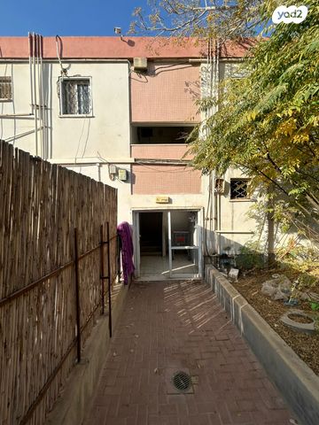 דירה, איריס, פרחי ארצנו, דימונה