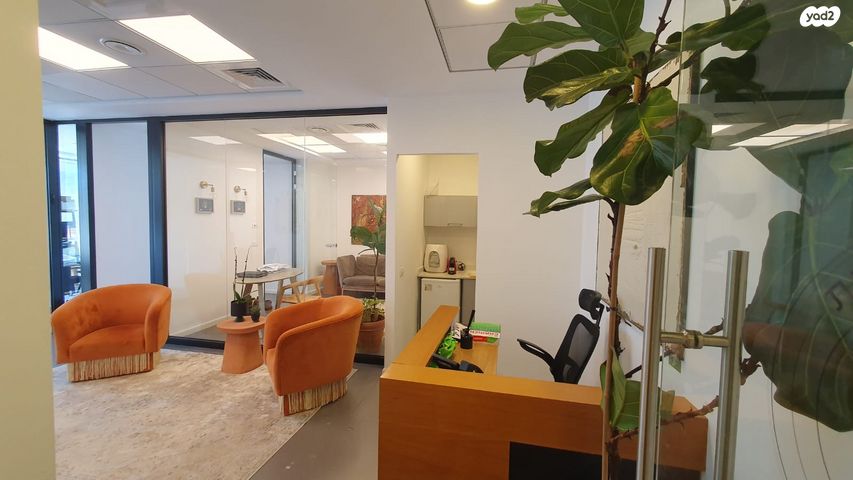 ראול ולנברג 