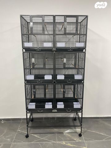 תמונת מודעה - חיות מחמד