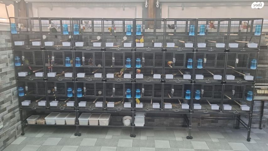 אביזרים | כלוב