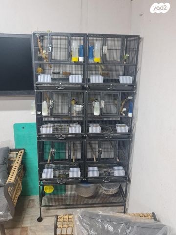 אביזרים | כלוב