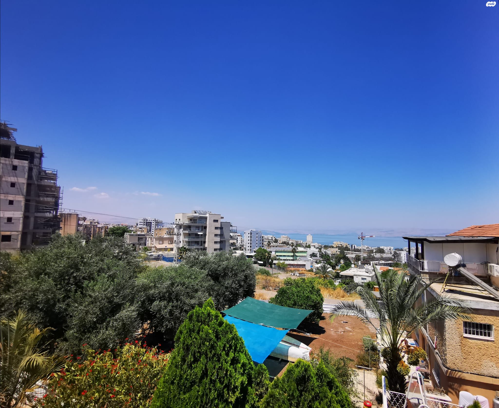 מצדה 